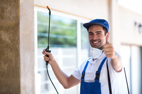 Rohnert Park Wasp Removal