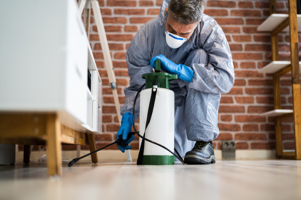 Rohnert Park Spider Control