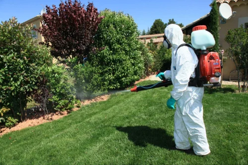 Rohnert Park Mosquito Control