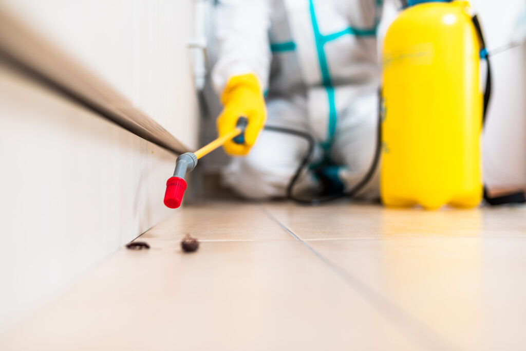 Rohnert Park Cockroach Experts