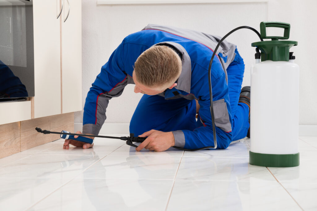 Rohnert Park Ant Control Xperts