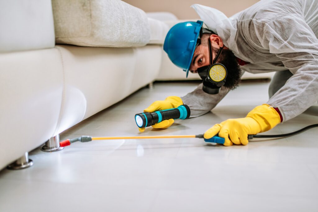 Rohnert Park Termite Control