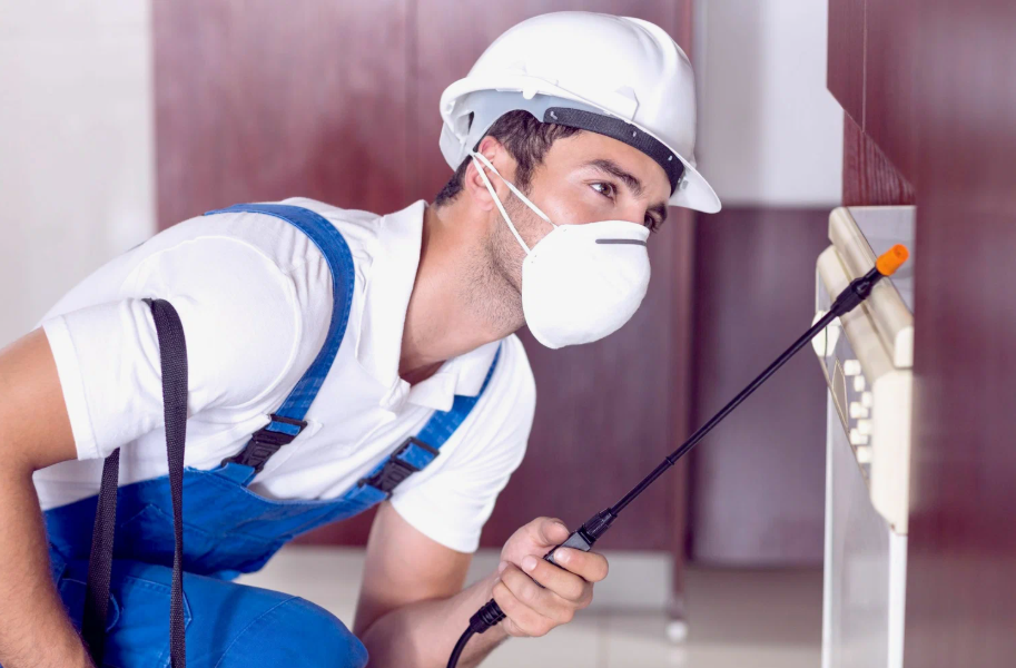 Rohnert Park local pest services