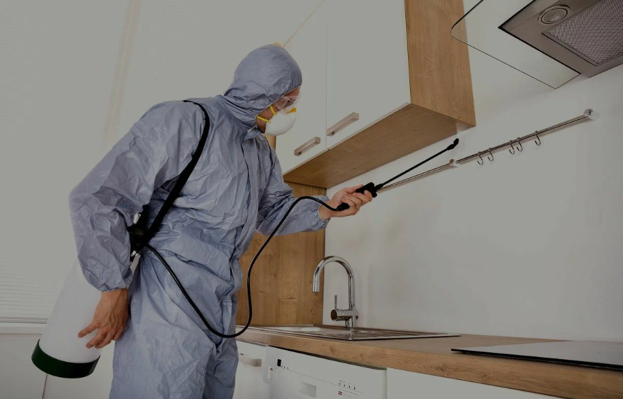 Rohnert Park pest managment
