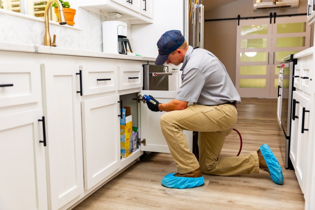 Rohnert Park xpert pest management